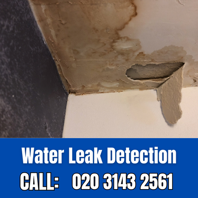 Expert Water Leak Detection Services in Chelsfield | Chelsfield Leak Detection